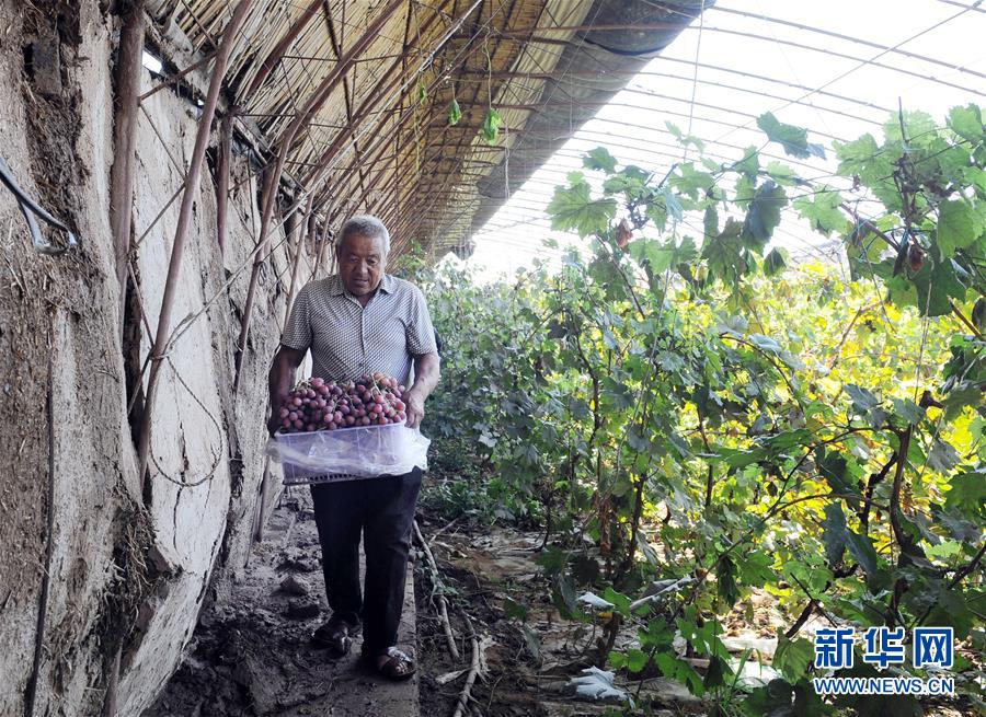 （寧夏60年）（5）寧夏中衛：科學(xué)治沙顯成效