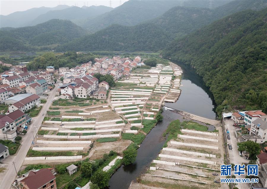 （社會(huì )）（2）秋風(fēng)起 曬面忙